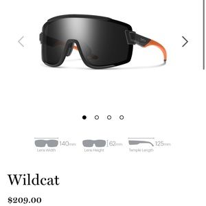 Smith Wildcat Sunglasses